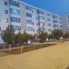 Türkmen başy şaýoly arenda