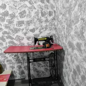 Дикин машын