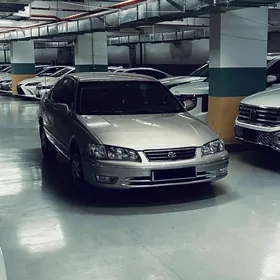 Toyota Camry 1999