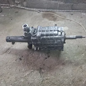 GAZEL MORDA KAROPKA 5SKORS