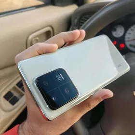 Xiaomi 13 Pro 12/256