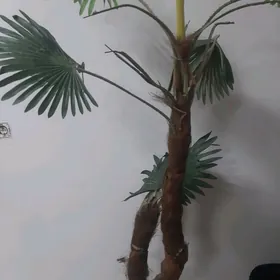 DEKORATIW PALMA AGAJY