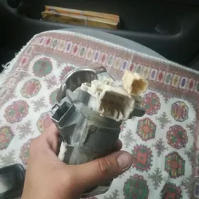 karolla zaziganiya zamok