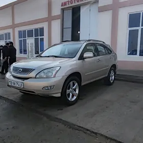 Lexus RX 330 2004