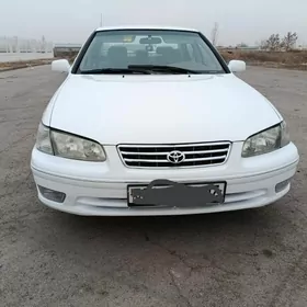 Toyota Camry 1999