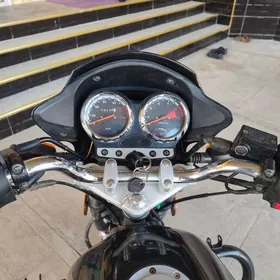 Fekon FK200-14G 2024