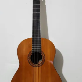 yamaha gitara c40