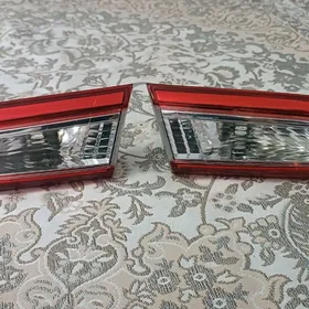 palta kemri bagsaz cyra