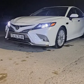 Toyota Camry 2019