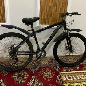 tigir shamena firma 26