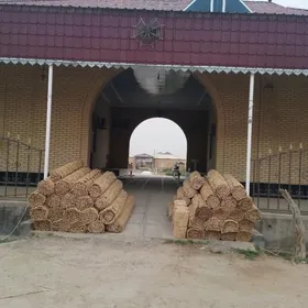 Gamyş Gotaz Tüÿnük AK öÿ GARA