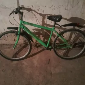 спорт тигир туркменистан