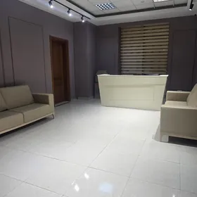 Tikincilik yer arenda