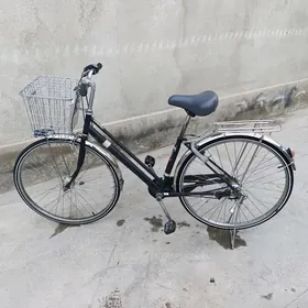 Tigir Ýaposka 27 lik