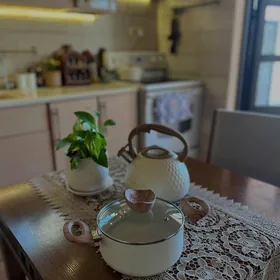 САТЛЫК ЖАЙ МИР 2  ФОК