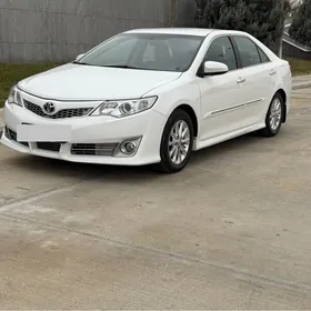 Toyota Camry 2013