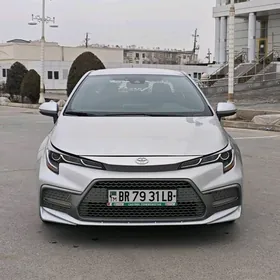 Toyota Corolla 2020