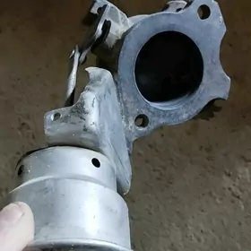 gulsytil dakylyan sport