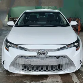 Toyota Corolla 2021