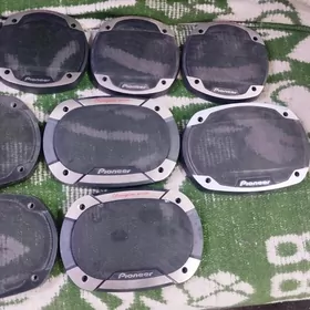 Pioneer kolonka setka