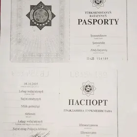 Pasport yitdi