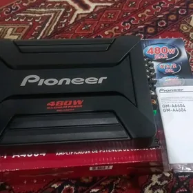 Pioneer usulitel
