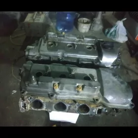 Sienna galowka  3-lik