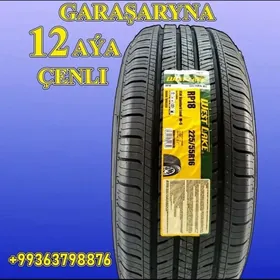 🚨 GARAŞARNA TEKER 225/55R16