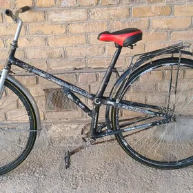 welsepet tigir welsopet kama