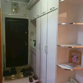 Гаудан В 3 ком