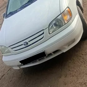Toyota Sienna 2002