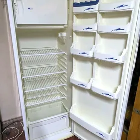 REGAL HOLODILNIK ARASSAJA