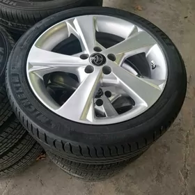 karola exclusiv diska teker