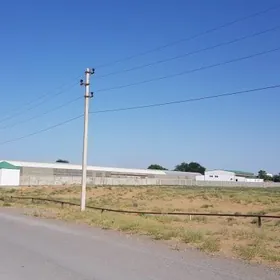 ÖNÜMÇILIK ÜÇIN  ZDANIÝA