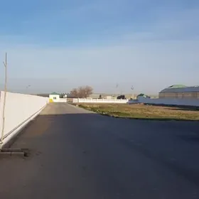 BIZNES we ONÜMÇILIK üçin BINA