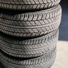 265 60 18 4şt Dunlop ýyly24