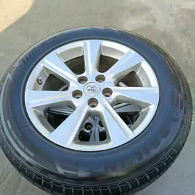 2011Haylandr disga Morda