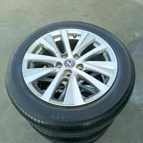 Orginal disga pakrişga 17