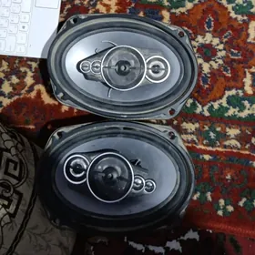 Masin kalonka kileylemek