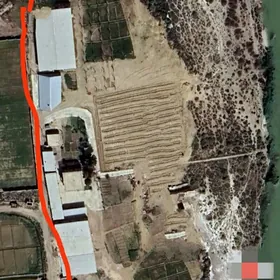 ÖNÜMÇILIK FERMA TOWUK&SYGYR