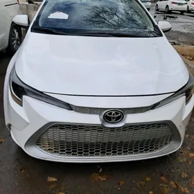 Toyota Corolla 2021