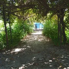 ANEW PLAN JAY  6  SOTOK