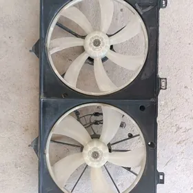 wintiyator 3.5 öküz kelle