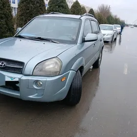Hyundai Tucson 2006