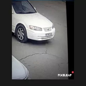 kömek zagran papka yitdi taksi