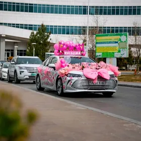 masyn bezeg edip bilyan gerek