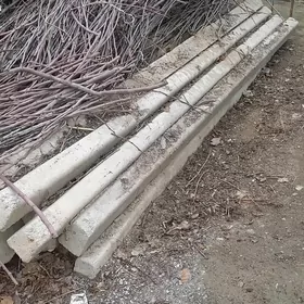 pasenka Üzüm beton