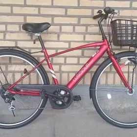 Arginal Japan welisopet tigir