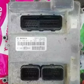 Kampiter  gazan 35 3