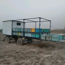 сатлык ары прицеп арысы билен